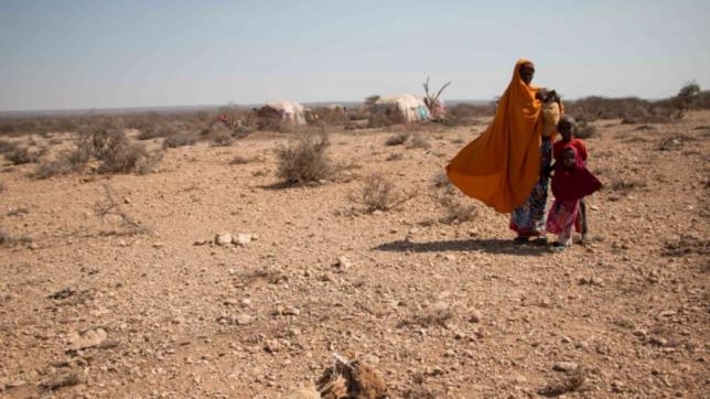 UN reports that over half of Somalis are in need of emergency aid